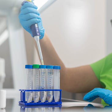 Slider image (4) PROFERT Santo Domingo